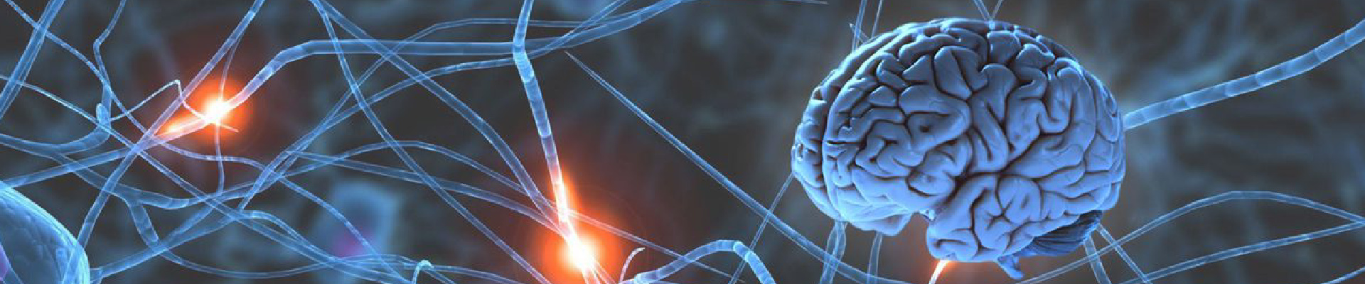 Neurological